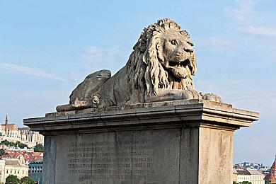 《牧场物语：橄榄镇与希望的大地》PS4版中文宣传片 7月28日发售